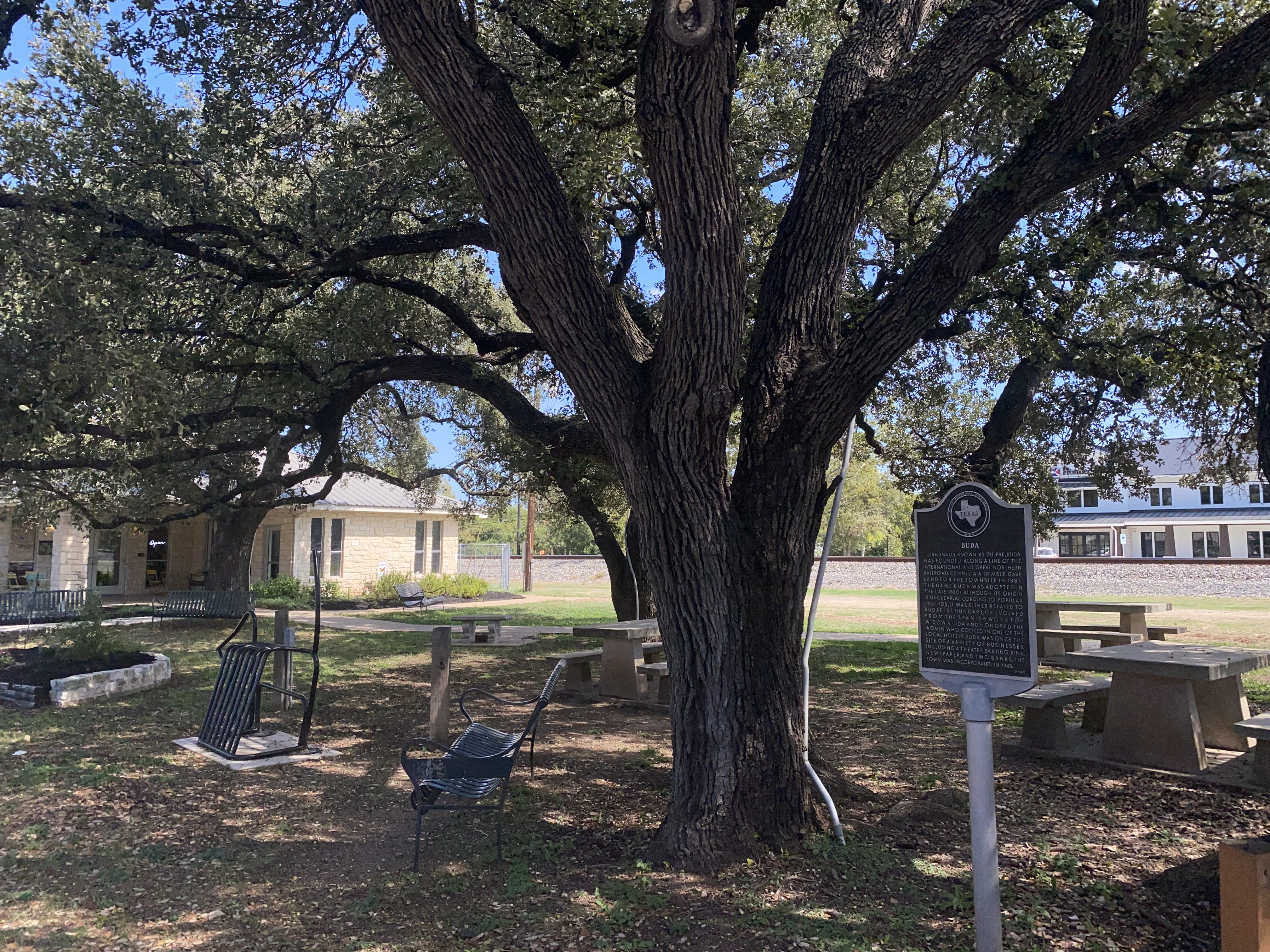 Buda historical marker, benches and picnic tables beneath a spreading oak tree.